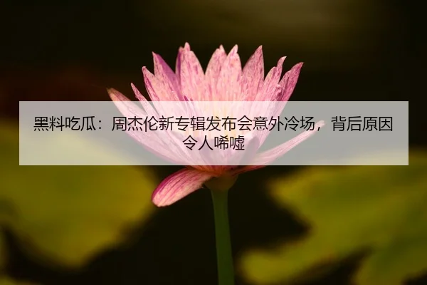 黑料吃瓜：周杰伦新专辑发布会意外冷场，背后原因令人唏嘘